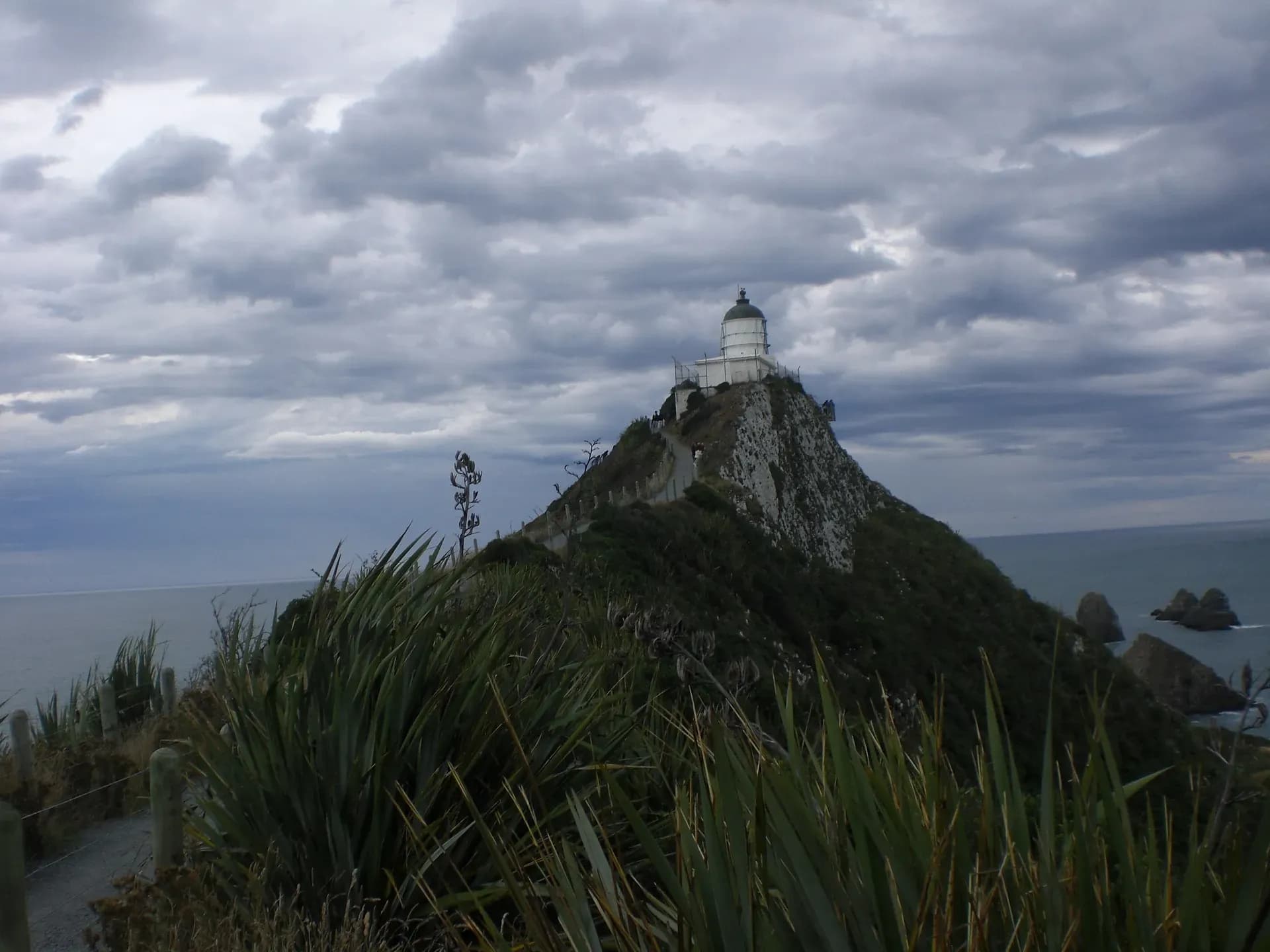 Nugget Point, Catlins, Neuseeland Roadtrip