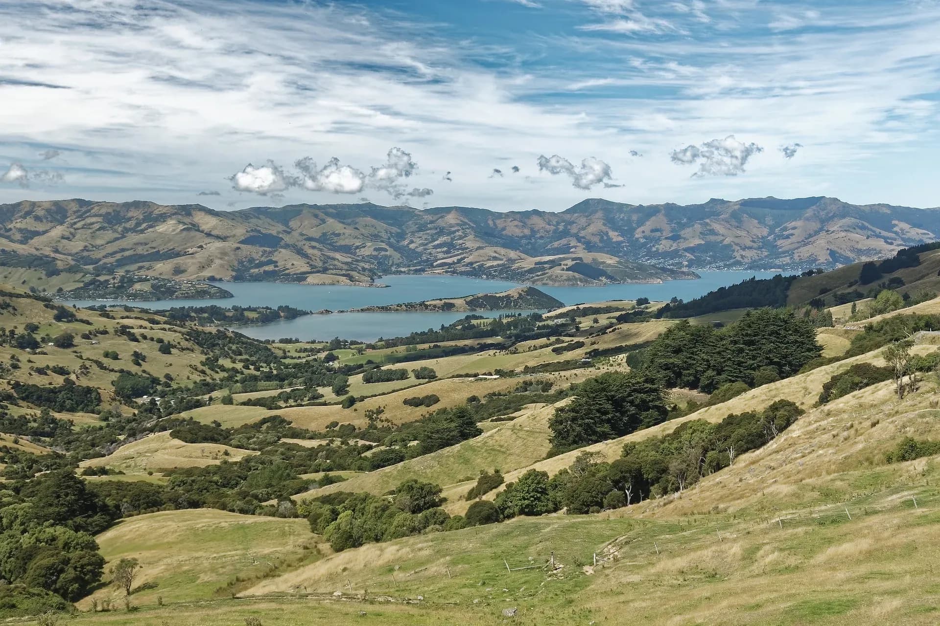 Akaroa Peninsula, Akaroa Halbinsel, Christchurch Sehenswürdigkeiten, What to do Christchurch, Kurztrips Chrischurch