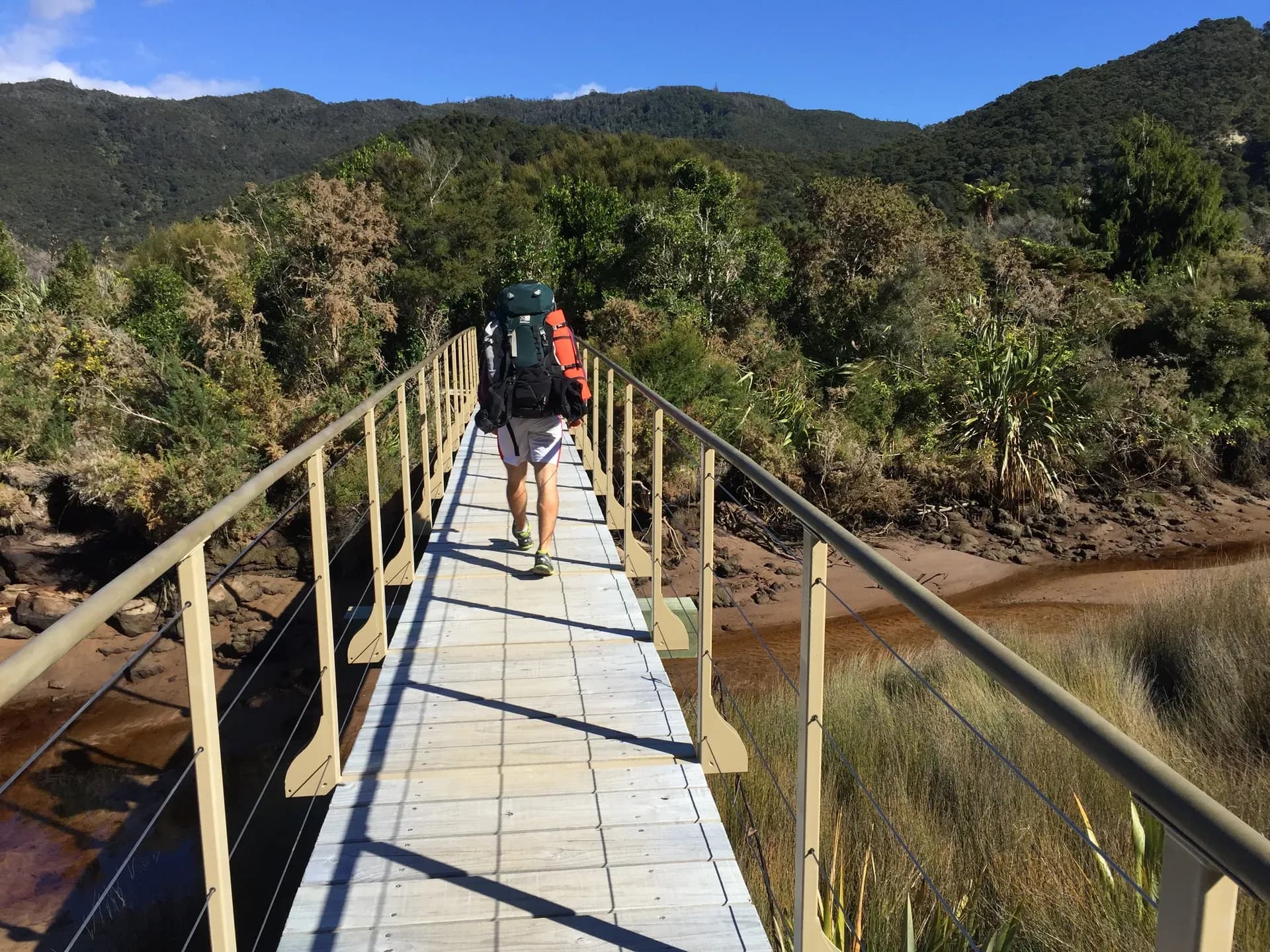 Abel Tasman Nationalpark, Abel Tasman Coastal Track, Strand, Bucht, Blüte, Wandern Neuseeland, Kayak Abel Tasman