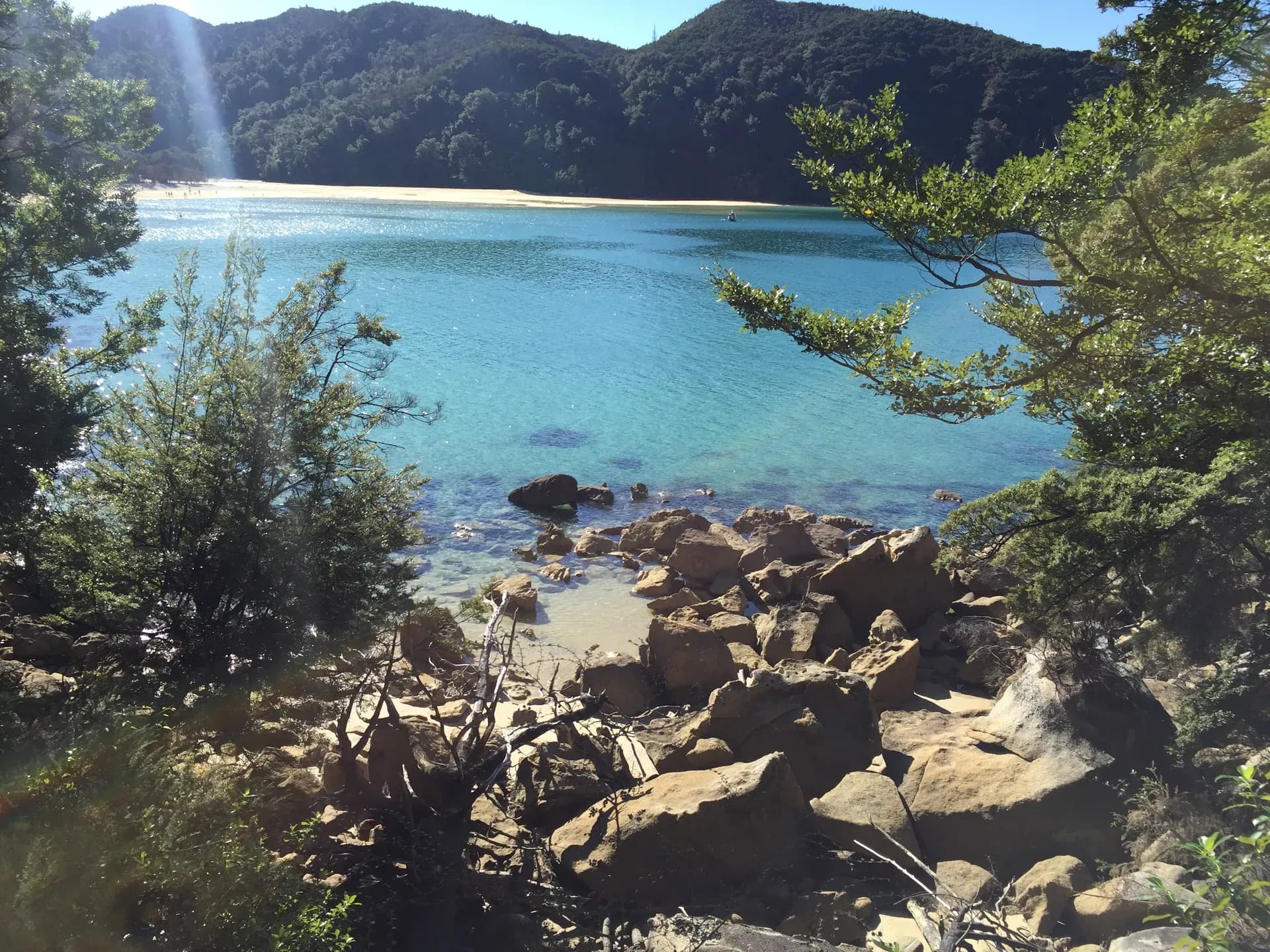 Abel Tasman Nationalpark, Abel Tasman Coastal Track, Strand, Bucht, Blüte, Wandern Neuseeland, Kayak Abel Tasman