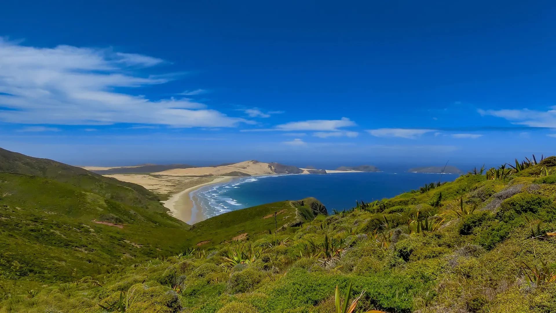 golden bay neuseeland, takaka neuseeland, abel tasman coast