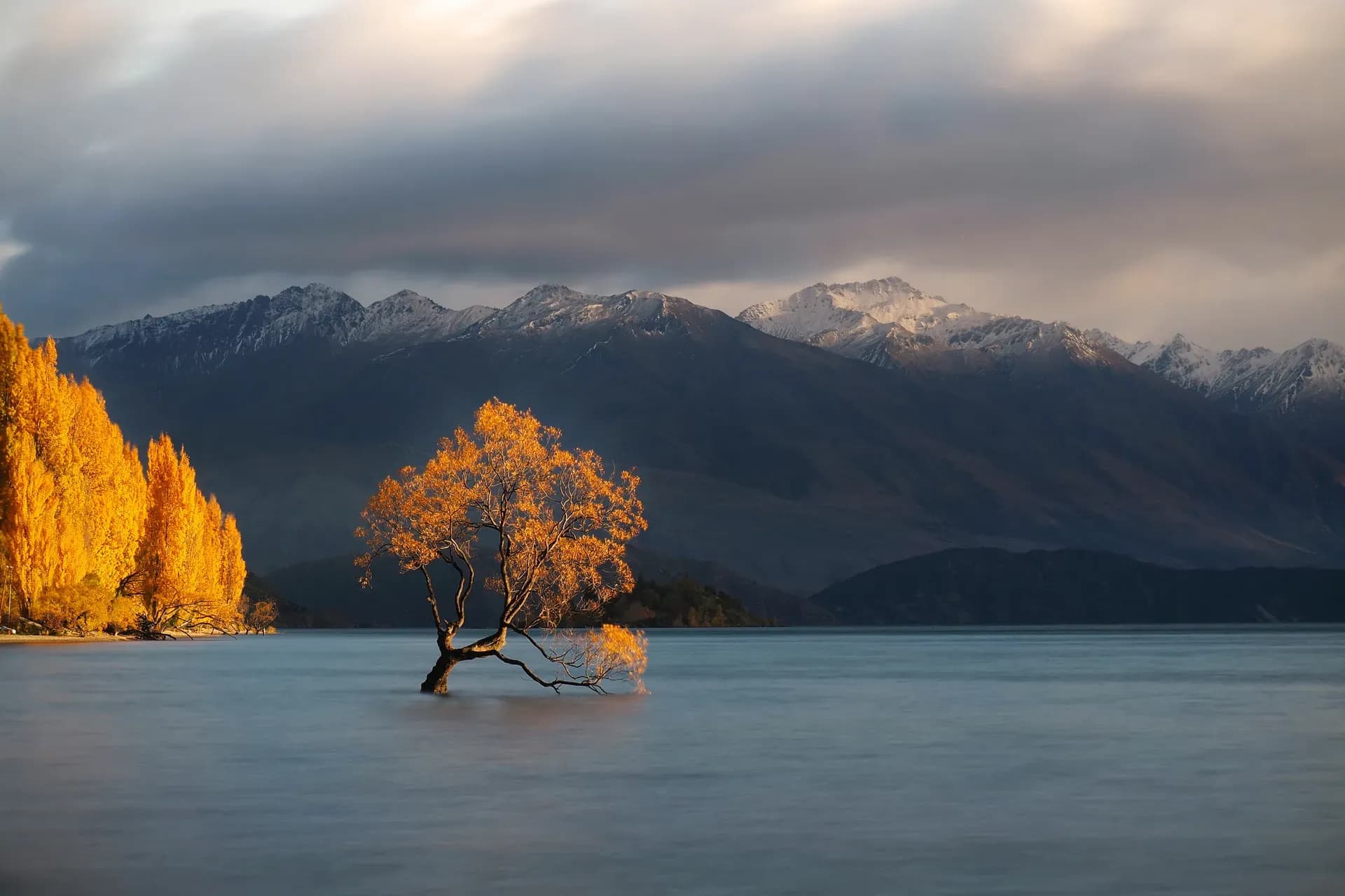 Wanaka Tree, Wanaka Herbst, Wanaka Baum, Wanaka Fotomotiv, Lake Wanaka