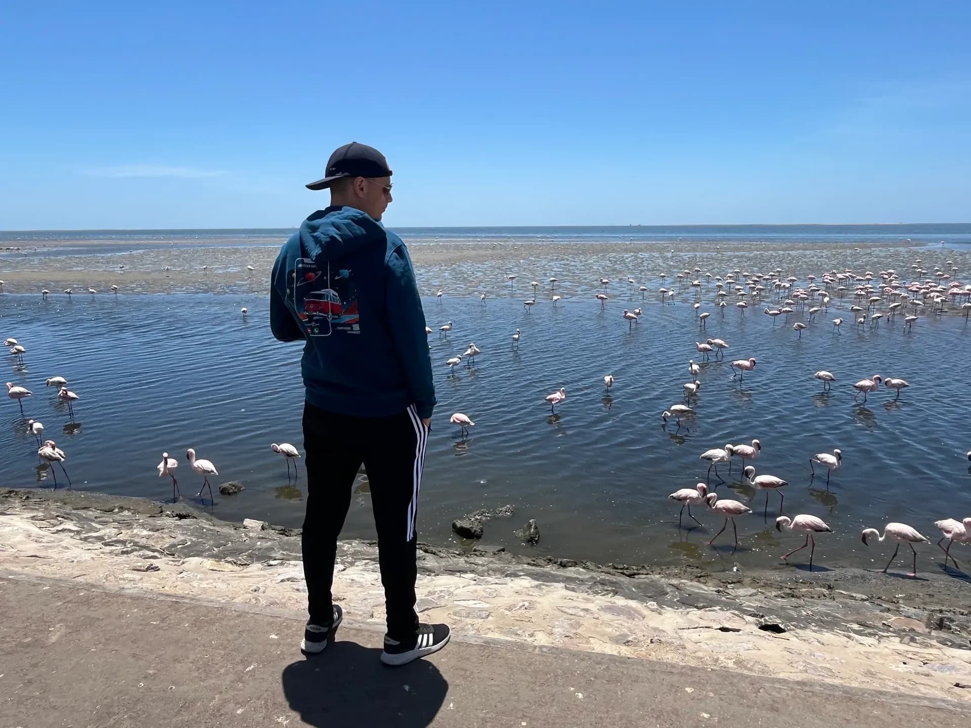 Person in CamperOase Pullover vor hunderten Flamingos
