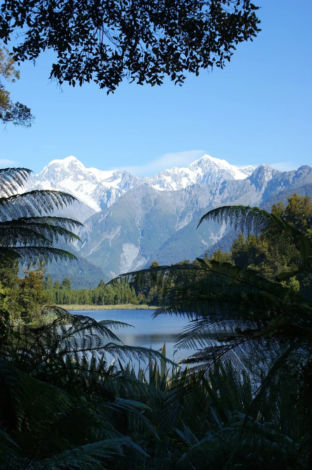 Lake Mathison, Westcoast New Zealand