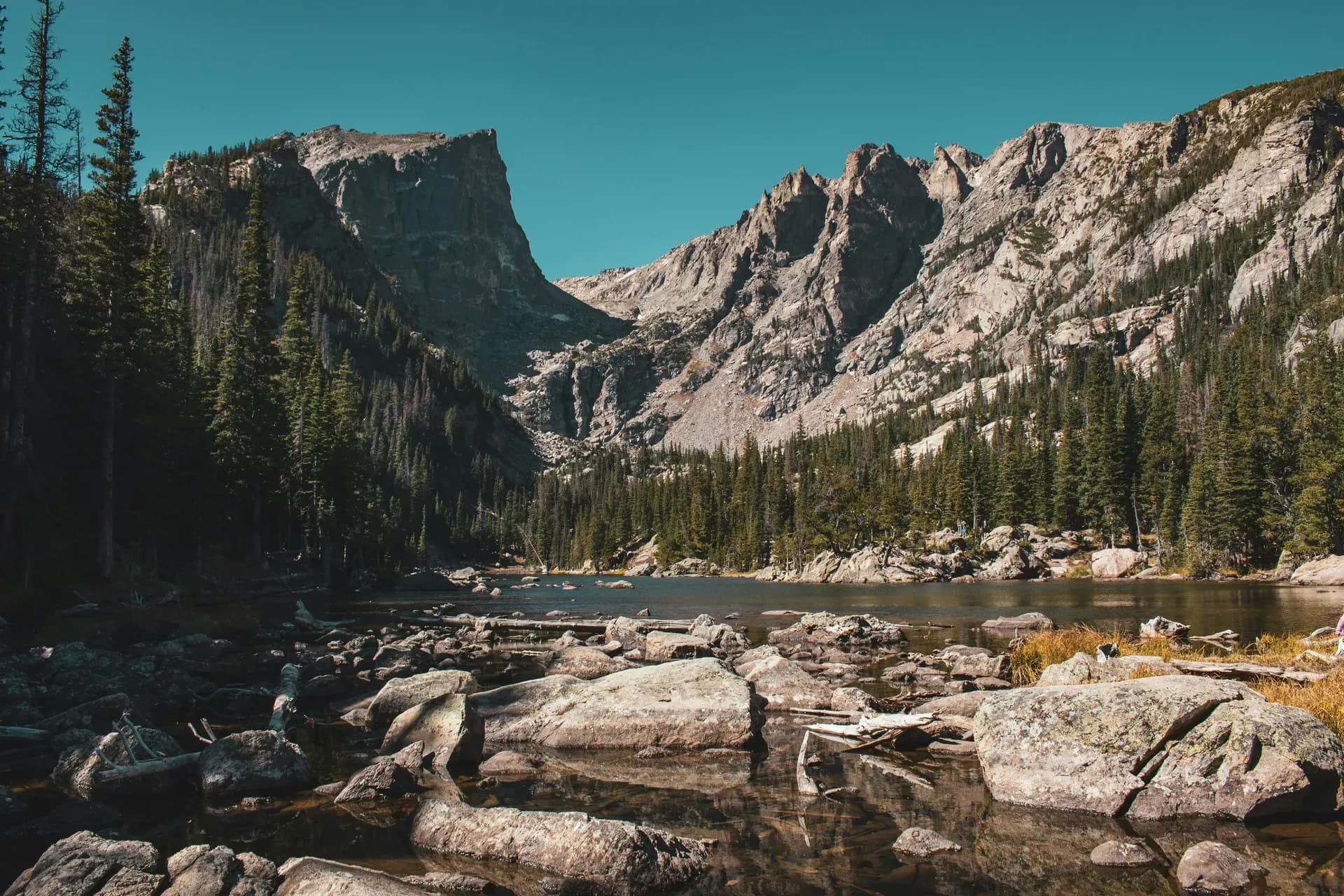 Berge mit Bäumen und Wasser