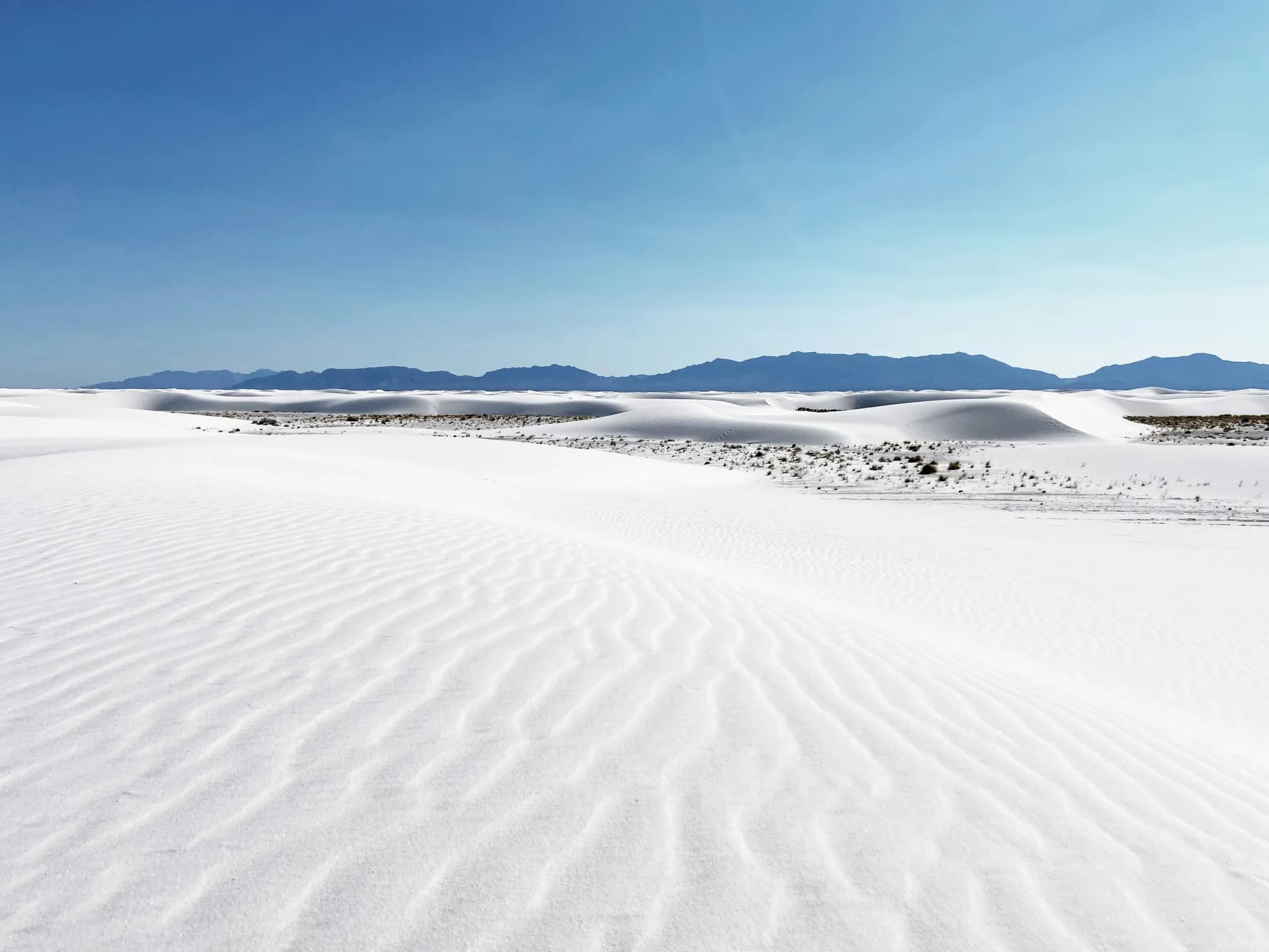 Eindrücke aus dem White Sands Nationalpark
