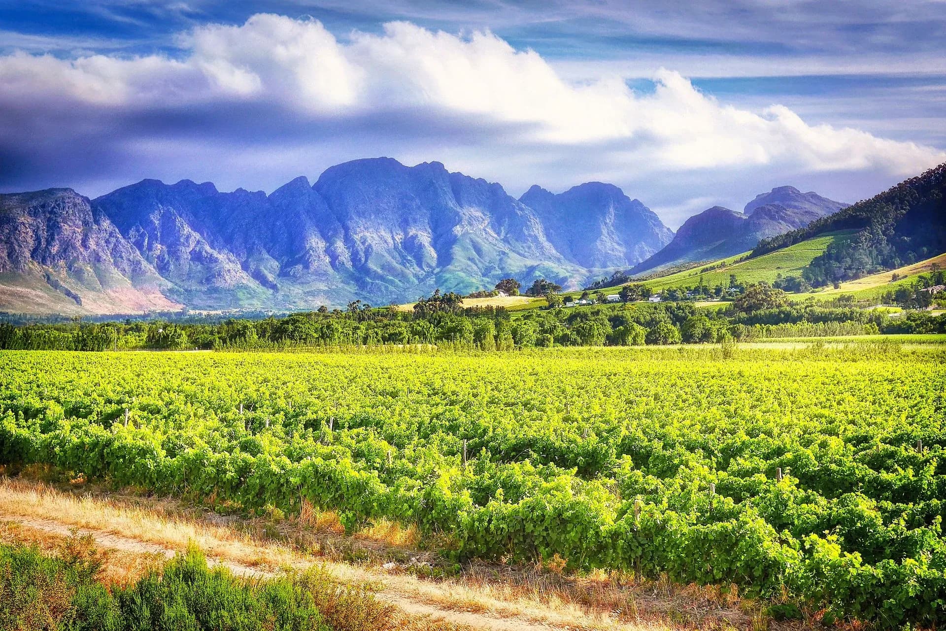 Winelands, Weingut, Südafrika, Berge