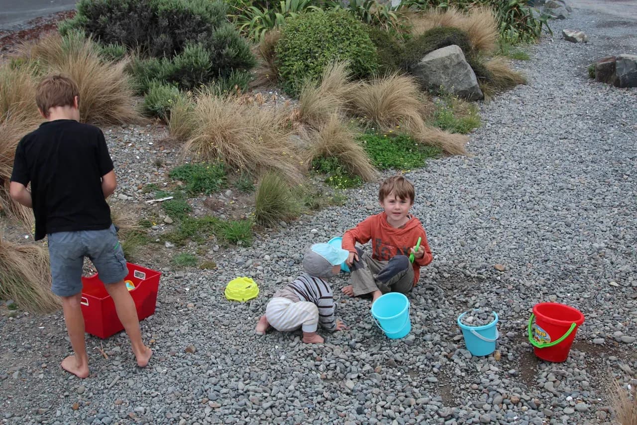 NZ Image 2
