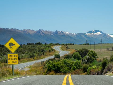 Straße in Neuseeland für eine Rundreise mit dem Wohnmobil
