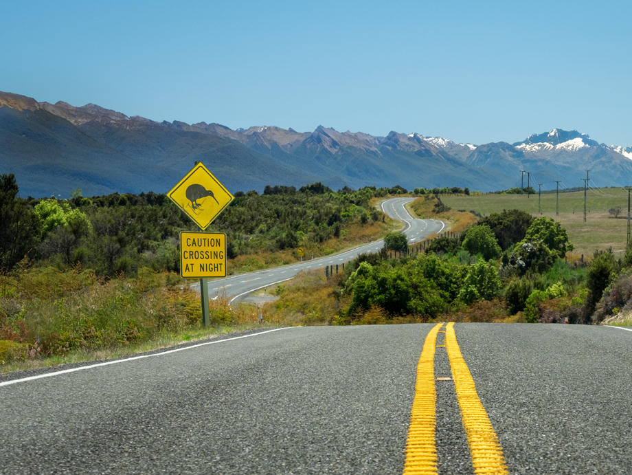 gewundene Straße durch die schöne Natur Neuseelands